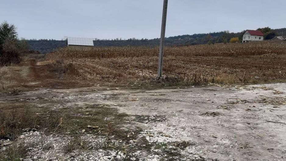 Teren pentru construcții – 7 ari, Zaicana - Poză 3
