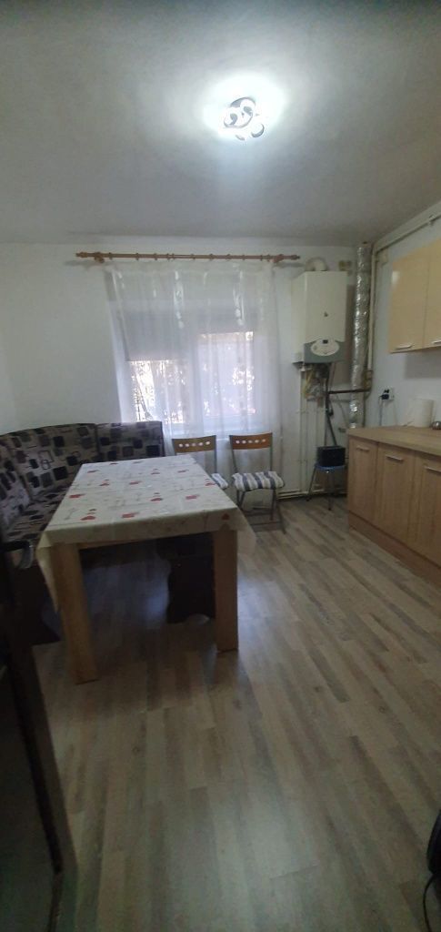 APARTAMENT 2 CAMERE ZONA INEL 2 / DEZROBIRII - Poză 6