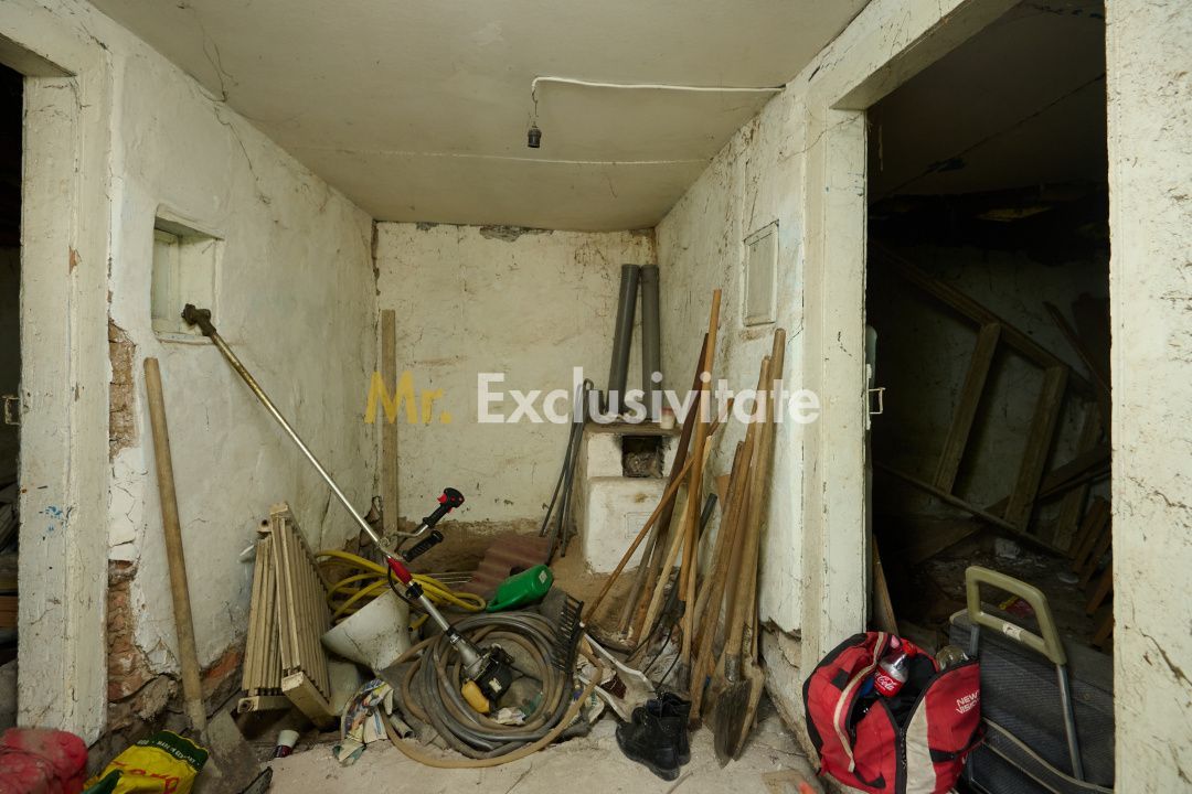 Teren 2240 mp intravilan + casa batraneasca Hintesti-Basangesti - Poză 12