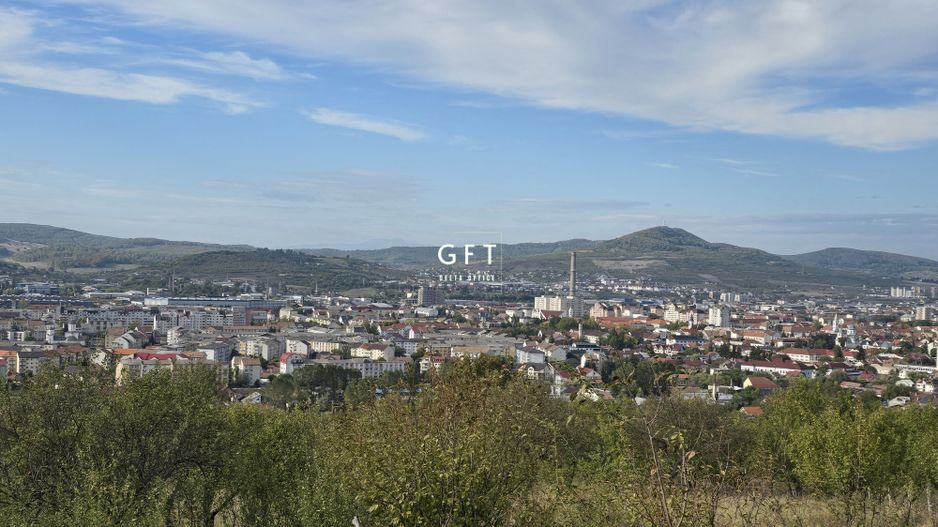 Teren de vânzare 8000 mp . - Poză 3