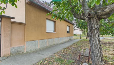 Casă  2 corpuri și 4 camere teren 1440 mp în Macea