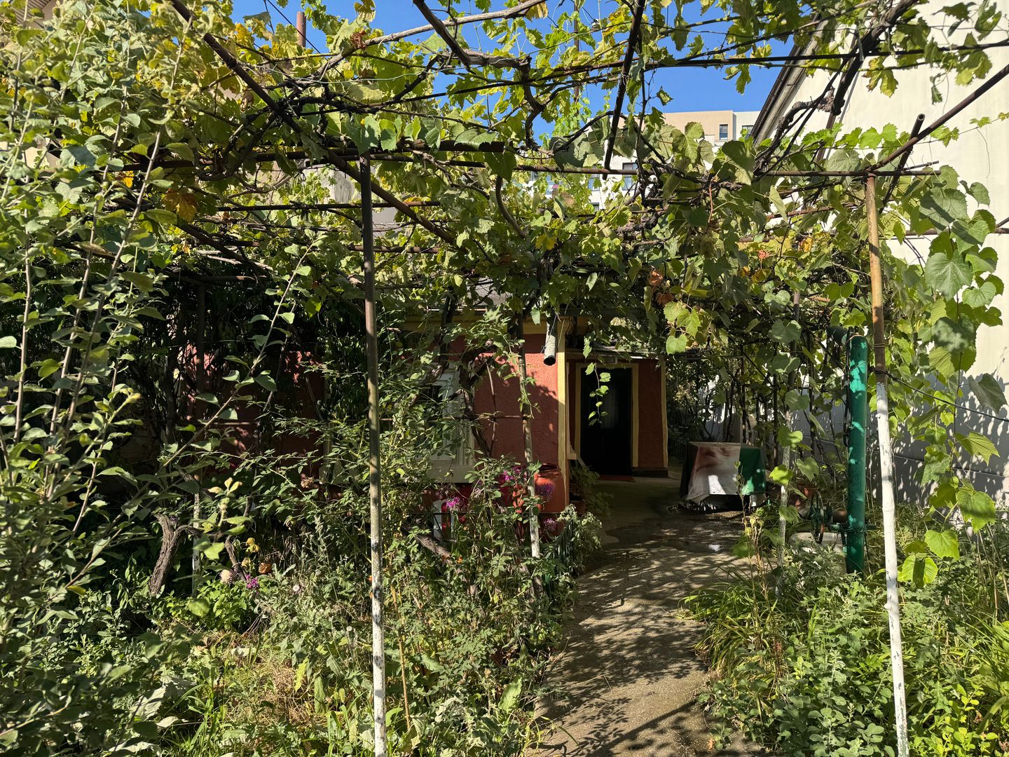 Casa si teren intravilan 512 mp | Bd. Uverturii – zona Cernisoara - Poză 2