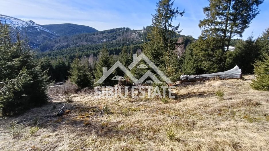 Teren de vânzare în zona montană a județului Alba - Poză 2