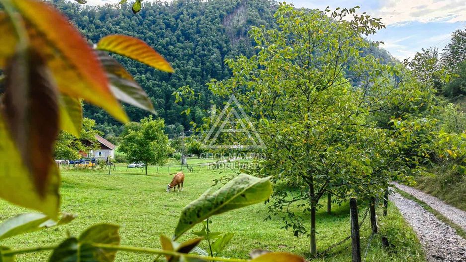 Casa,anexe si14.328 mp teren partial intravilan, com. Bulz, jud. Bihor - Poză 11