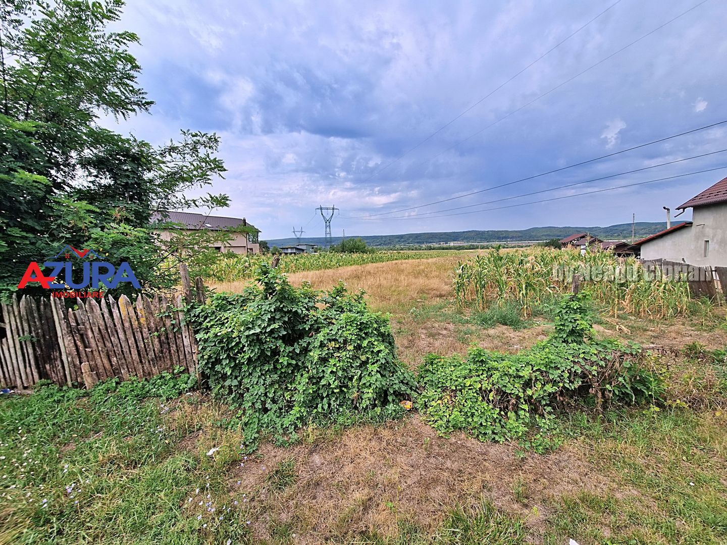 AZURA Imobiliare - Teren Budeasa Galasesti Calotesti - Poză 10