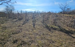 Teren pentru construcții 10 ari Vasieni, Ialoveni - Poză 5