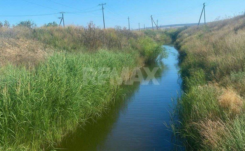 Proprietate cu casă, teren, sere și sistem de irigare – 15 min de Orhei - Poză 6