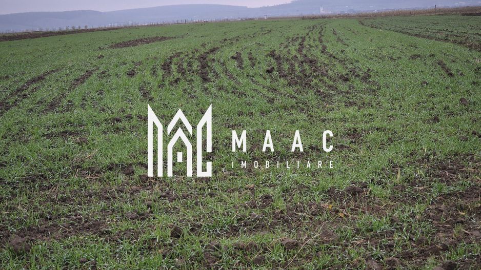 Teren extravilan | Gura raului | 2250 MP - Poză 3