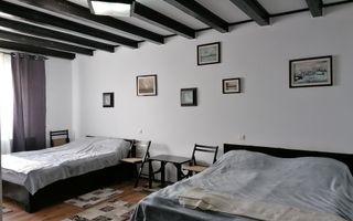 Imobil tip pensiune Dangau Mare - Poză 7