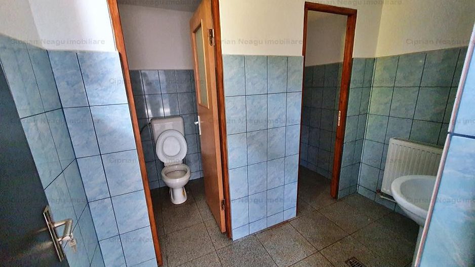 Hala De Inchiriat, zona Depozitelor Pitesti - Poză 18