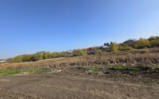 teren intravilan casa 500mp -curent si gaze trase - Frumusani /Pasarea - Poză 3