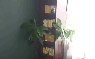 Apartament 2 camere | 42 MPU | Etaj 10 | Balcon tip logie | Doamna Stanca - Poză 5