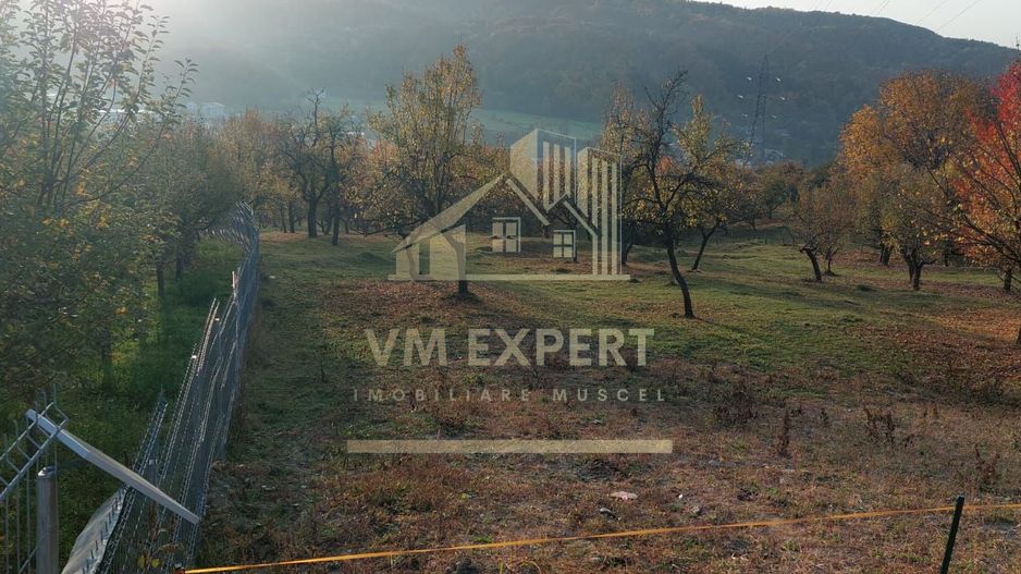 TEREN INTRAVILAN 10385 MP, MARCUS, CAMPULUNG - Poză 5