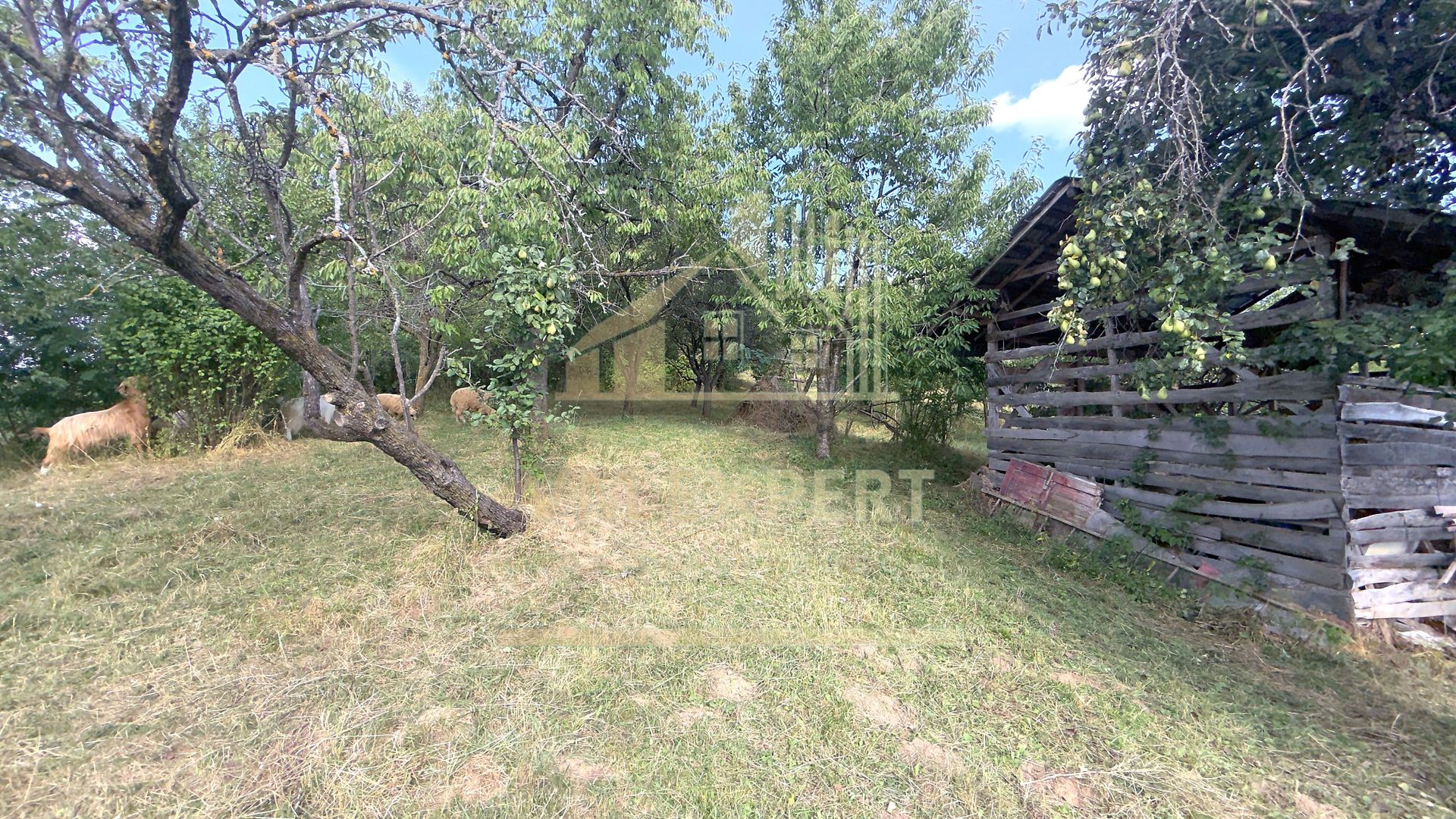 CASA 3 CAMERE TEREN 7770 MP BOTENI ARGEȘ - Poză 22