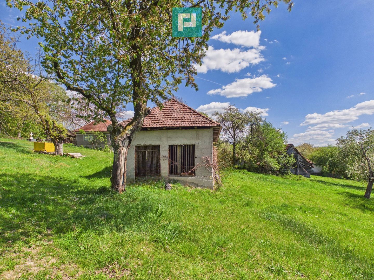 Proprietate rară cu 24.270 mp, în Măgulicea, Arad! - Poză 21