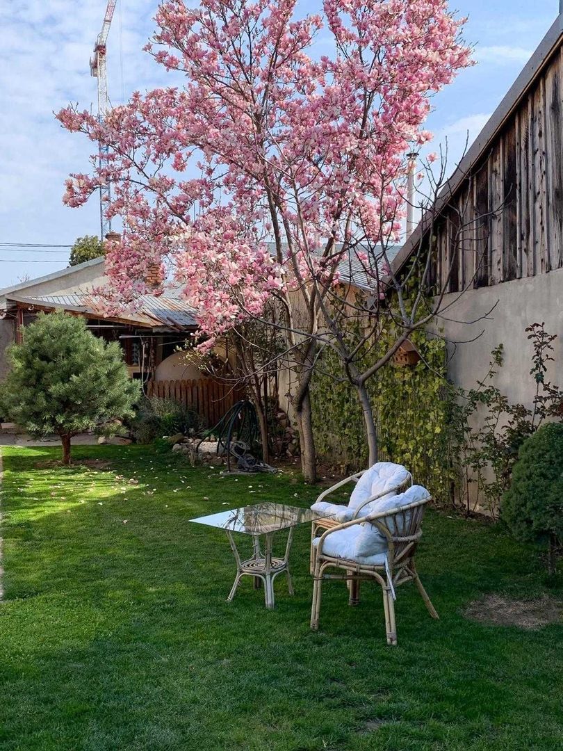Vand  casa curte  + teren + SPATIU COMERCIAL - Poză 3