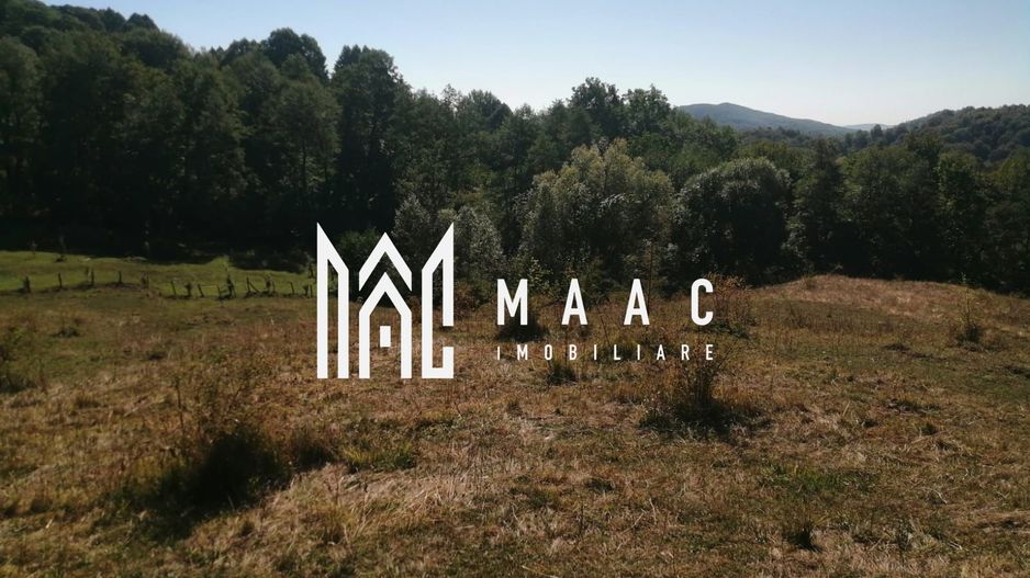 Teren Extravilan 20.000Mp I Stoenești -Vâlcea I Apă Curentă și Pădure - Poză 4