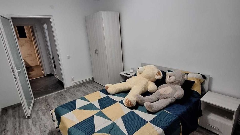 Apartament 2 Camere in Rovine - Poză 4
