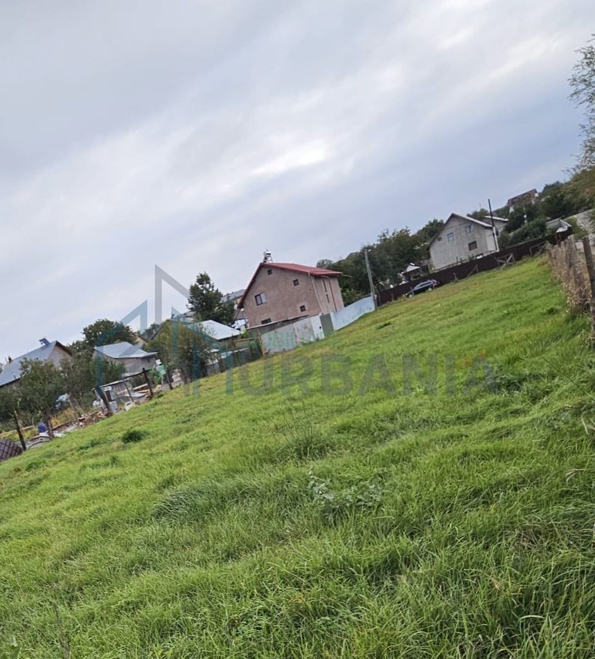 Teren Intravilan de Vânzare – Dumbrava, Ciurea, Iași - Poză 2