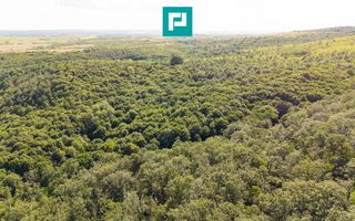 TEREN AGRICOL EXTRAVILAN  22.900 MP LIPOVA - Poză 2