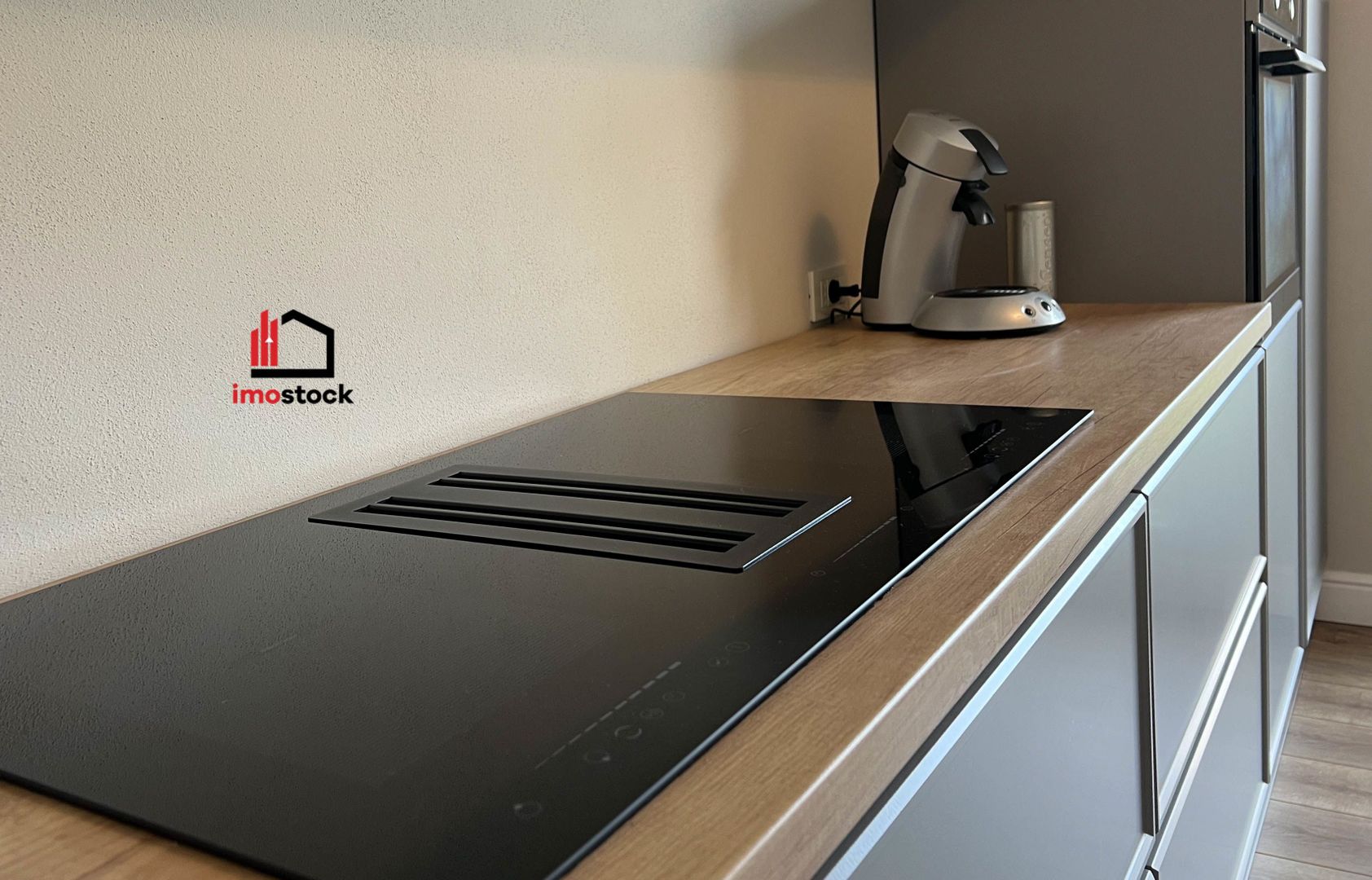 Vila superba Dumbravita - Poză 15