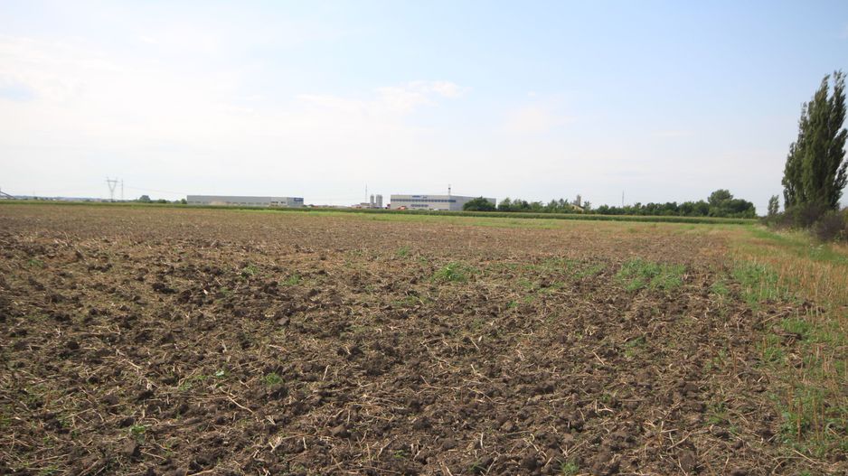 Terenuri  PUZ destinatie industriala 12.900 mp Centura de N - Poză 5