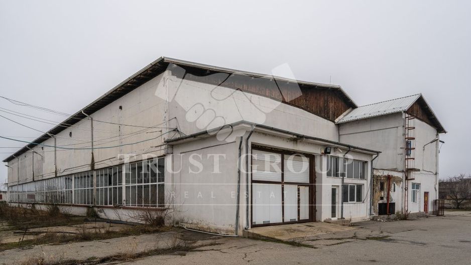 Teren 28.788m + Hale industriale + Sediu Firma - Poză 25