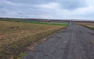 Teren de casă în Târgu Frumos, strada Petru Rareș – 500 mp - Poză 4