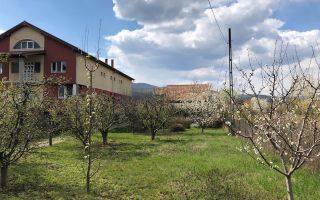 Teren intravilan 4500 mp zona Kaufland - Poză 1
