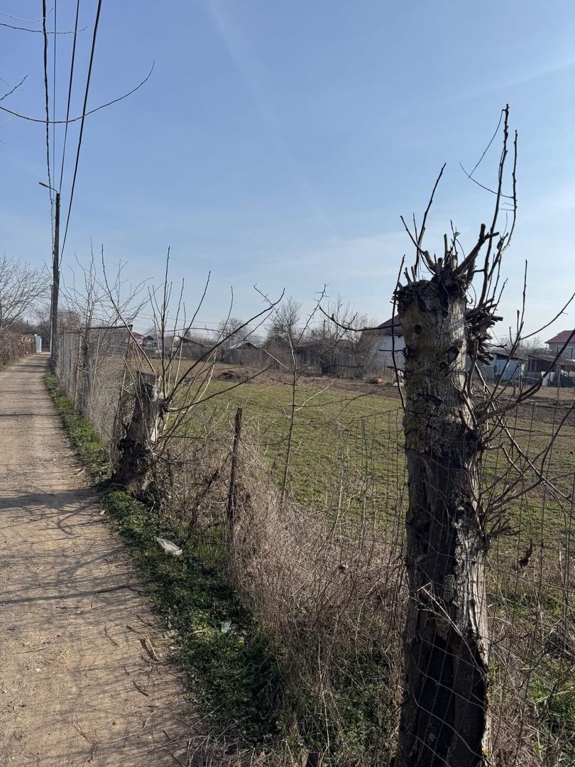 De vânzare teren intravilan 1897 mp, Str. Șoimului / Int. Șoimului - Poză 5