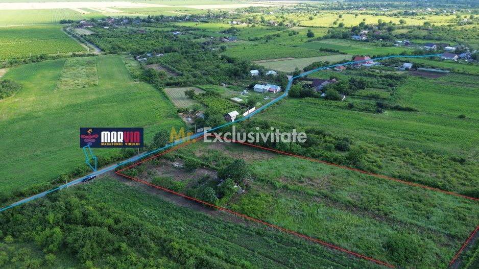 Teren Urlați / Investitie / 5.555 mp pe Traseul MARVIN si Drumul Vinului - Poză 2