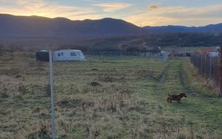 Teren Intravilan | 467Mp | Zona Cisnădie - Poză 4