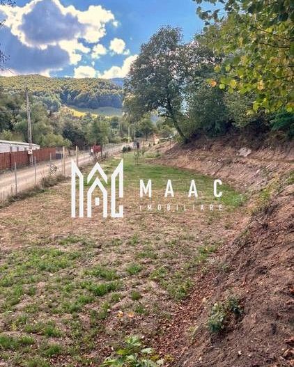 Teren intravilan de vânzare | Râu Sadului | 800 mp - Poză 6