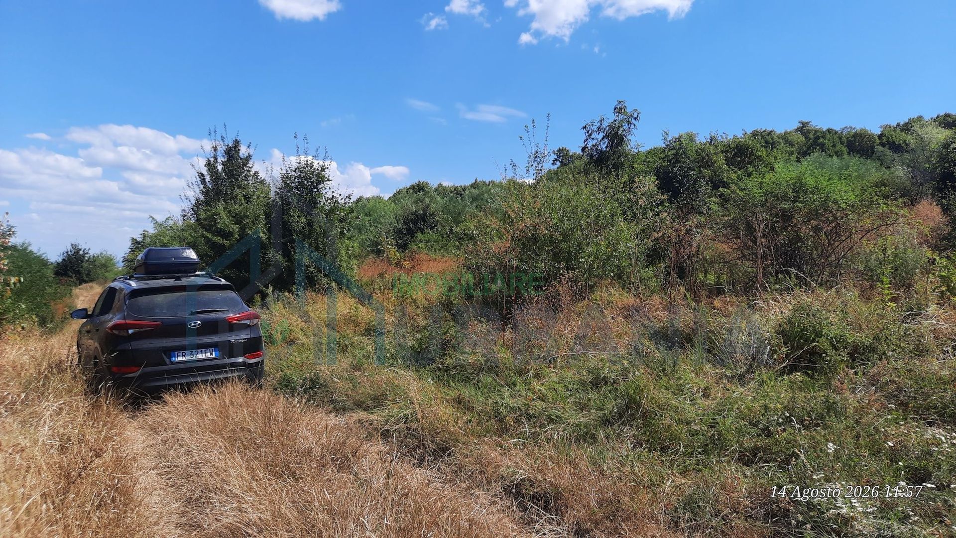 Teren 10.000 mp în Tomesti, zona Vladiceni – oportunitate de investiție - Poză 1