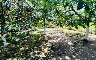 Casă + 2870 mp teren – oportunitate Ciocaia - Poză 5