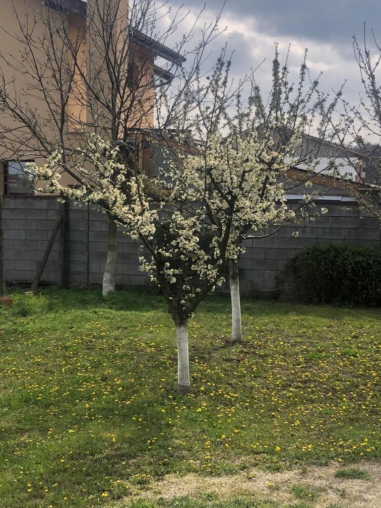 Casa individuala-zona Dumbravita lac-comision zero - Poză 15