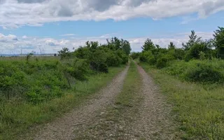 Teren extravilan, 114000 mp, Parc industrial West Park - Poză 16