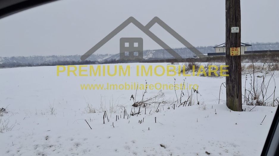 Teren de vânzare – Zona Andrășești – 16.000 mp - Poză 3