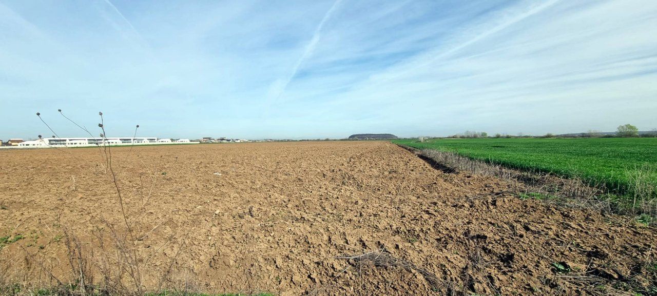 „Corbeanca – aer curat, potențial mare, preț competitiv. 4 loturi - Poză 5