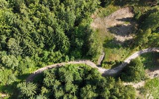 18000 mp de natura pura ,Lupeni, langa Straja - Poză 29