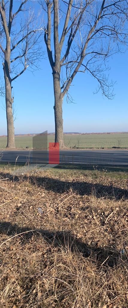 Vanzare Teren Intravilan 25.700 Stefanesti - Poză 9