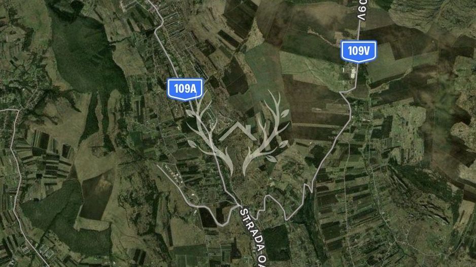 Teren intravilan de vanzare | 2.900 mp | Macicasu, com. Chinteni | La - Poză 2