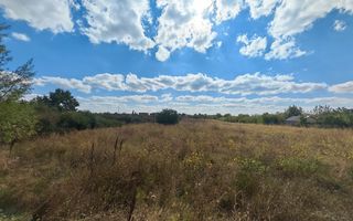 5.900 mp pentru Dezvoltare Rezidențială – Str. Polonă, Periș - Poză 3