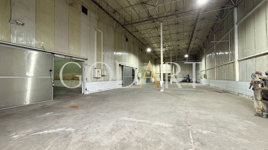 Hală industrială de închiriat | Acces TIR - Poză 14