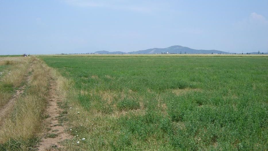 Teren extravilan Prejmer - Poză 3