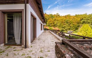 Domeniu în satul Căprioara - Poză 25