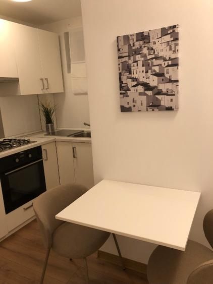 Apartament 2 camere, vedere parc Cismigiu, mobilat, etaj 2 - Poză 4