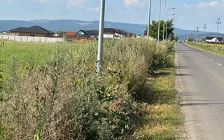 Terenuri pe șoseaua Brașovului în Bod spre Sanpetru - Poză 13