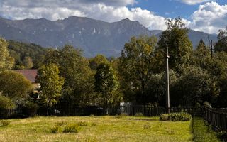 Teren Moieciu 8206 mp - Oportunitate de investitie - Poză 7