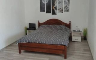 Apartament cu 1 camera, complet in Apahida - Poză 2